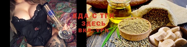 стаф Козловка