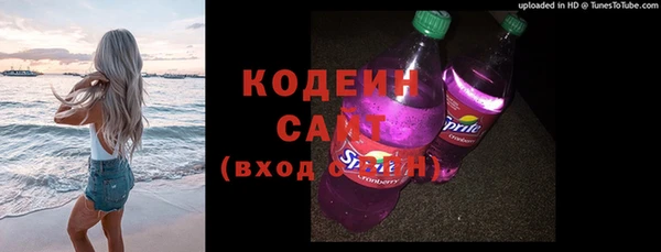 гашик Кодинск