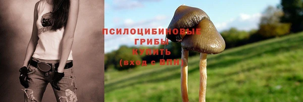 мефедрон мука Козельск