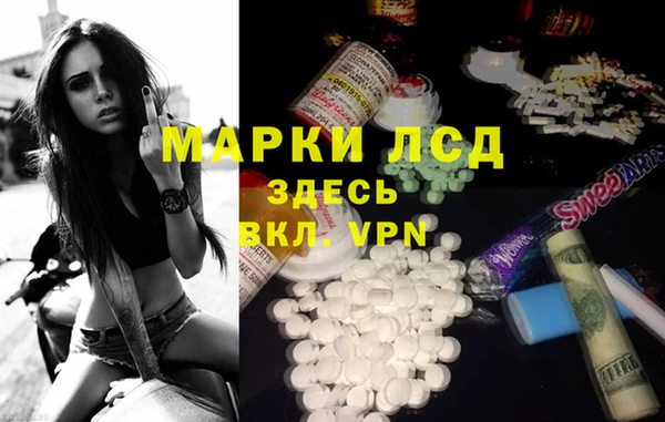 стаф Козловка