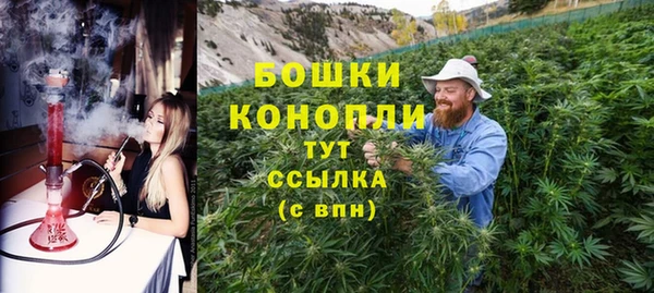 стаф Козловка